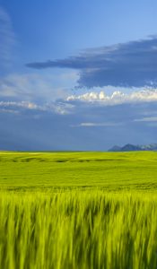 Green Fields to Mountains & Sky