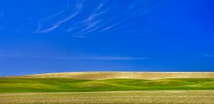 Waves of Green and Gold