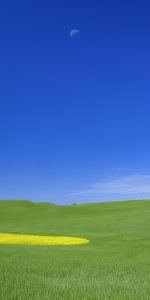 Third Quarter Moon Over Farm
