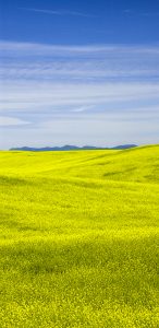 Glowing Colors of Earth & Sky