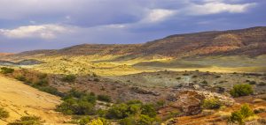 Deep Colored Land #7