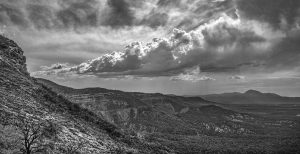 Bringing On The Storm